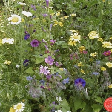 Bloemenmengsel Hoog