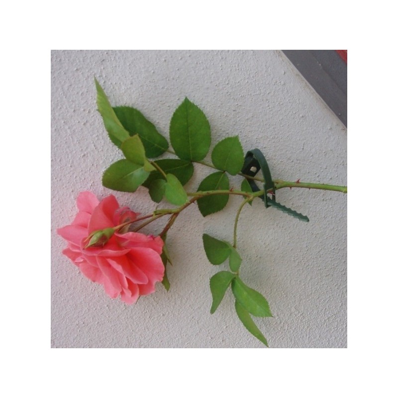 Plantenklemmen, klimplantengeleiders