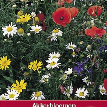 Akkerbloemenmengsel