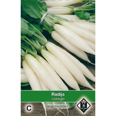 Radijs, Raphanus sativus 'IJskegel'