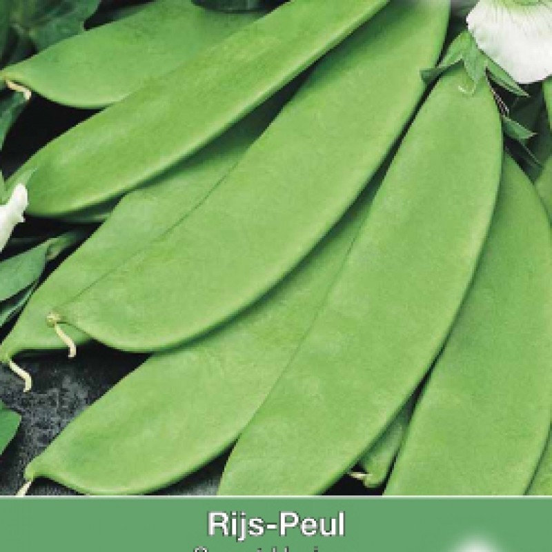 Rijspeul, Pisum sativum 'Sweet Horizon', 50 gr.