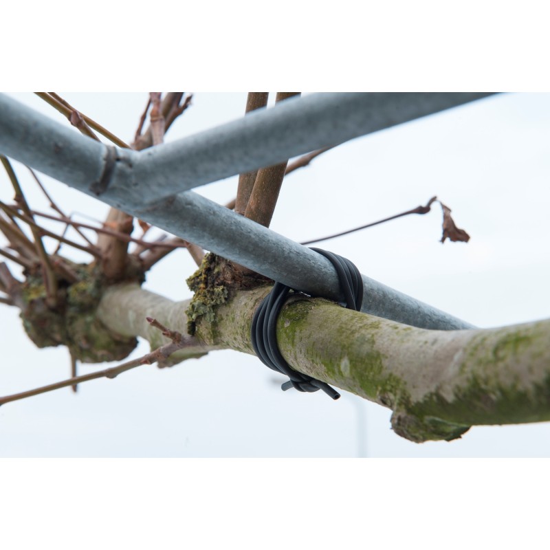 Bindbuis, zwart 50 meter