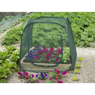Pop-up kas voor een vierkante-meter-tuin -insectengaas-