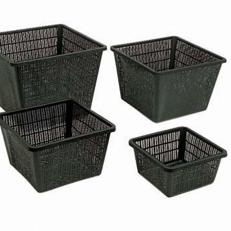 Waterplantmandje, vierkant 11 cm