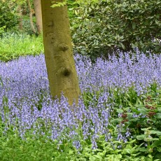 Aanbiedingen grootverbruik