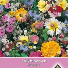 Zaden voor bloemenmengsels