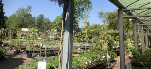 Het is voorjaar en we lopen met ons gezin op Keukenhof. We genieten van alles wat er bloeit in het mooiste lentepark van de wereld. Soms valt ons iets nieuws op dat we niet kennen. Dat is mooi, dat is bijzonder, dat is misschien iets voor ons bedrijf.